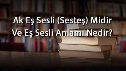 Ak Eş Sesli (Sesteş) Midir Ve Eş Sesli Anlamı Nedir Ak İle İlgili Eş Sesli Örnek Cümleler