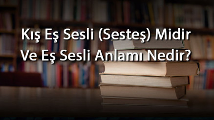 Kış Eş Sesli (Sesteş) Midir Ve Eş Sesli Anlamı Nedir Kış İle İlgili Eş Sesli Örnek Cümleler