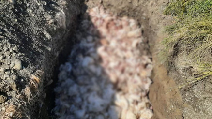 2 bin 450 tavuk havasız kalıp öldü