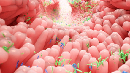 Probiyotik nedir, ne işe yarar İşte probiyotik içeren besinler