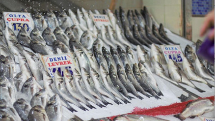 Başkent balığa doyacak