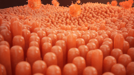 HPV aşısı nedir, kimlere yapılır, koruyuculuğu nedir... İşte merak edilen bilgiler HPV aşısı nedir, kimlere yapılır, koruyuculuğu nedir... İşte merak edilen bilgiler