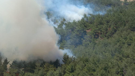 Soma’da orman yangını: 2 saatte kontrol altına alındı