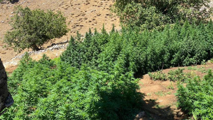 Eren Abluka-9 operasyonunda terörün finans kaynaklarına darbe