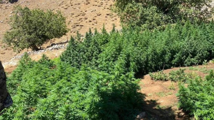 Terör örgütünün finans kaynaklarına darbe