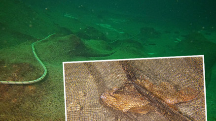 Marmara Adasında deniz dibi ağ mezarlığı haline geldi
