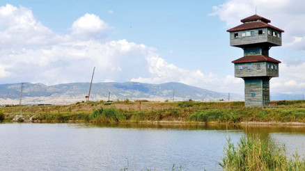 ‘Hey 15’li 15’li, Tokat yolları taşlı