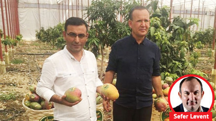 Türk sebze meyvesi Avrupa’da baştacı haline geldi: ‘Ulaşamadığımız marketler şimdi peşimizde koşuyor’