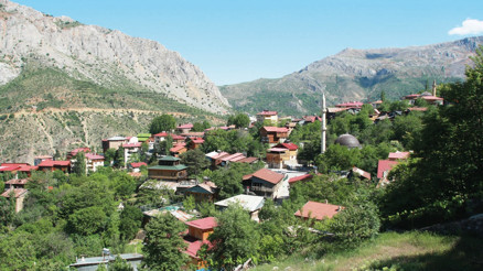 Yemyeşil vadide, cennet gibi güzel bahçe Yemyeşil vadide, cennet gibi güzel bahçe