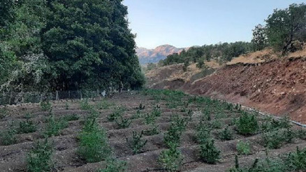 Son dakika... İçişleri Bakanlığı duyurdu: Terör örgütünün finans kaynağına darbe