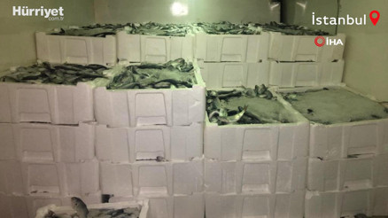 Gürpınar Su Ürünleri Hali’nde denetim: 1 ton balığa el konuldu