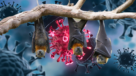 Korona bitmeden yeni virüs paniği... ABDli bilim insanlarından flaş Khosta-2 açıklaması