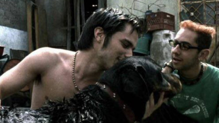 ‘Şiddetin otopsisi’