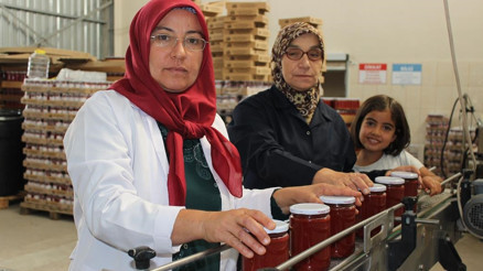 Ayaş’ta üretim arttı, 250 tona göz kırptı