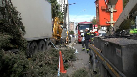 Esenyurtta feci kaza: Önce ağaca sonra 4 otomobile çarptı