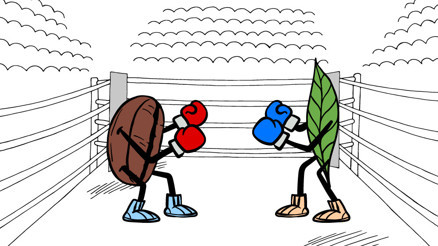 BÜYÜK KAPIŞMA | Sağlık için hangisi daha faydalı Kahve mi çay mı