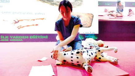 Köpeğim bayıldı ne yapmalıyım