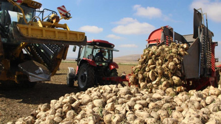 Gerektiği kadar gübre verimi artırır