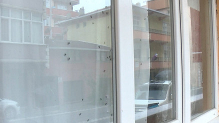 Mahallede sinekli ev paniği Ekipleri alarma geçirdiler, korktukları gibi olmadı