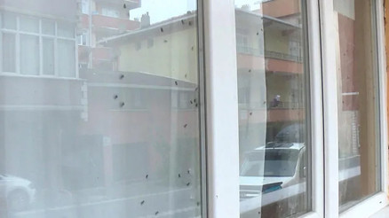 Büyükçekmecede mahallede sinekli ev paniği