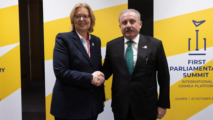 TBMM Başkanı Şentop: FETÖ ile mücadelemizde Alman makamlarından iş birliği bekliyoruz