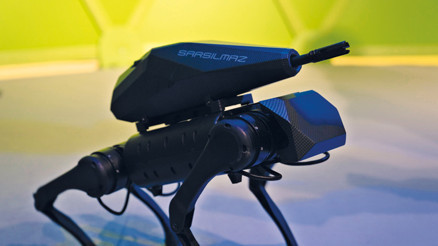 Yerli robot köpekler