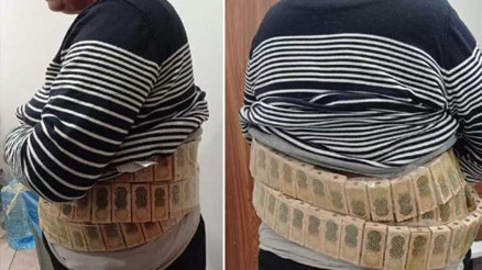 Gümrük kapısında yolcunun belinde 1100 bal arısı ele geçirildi