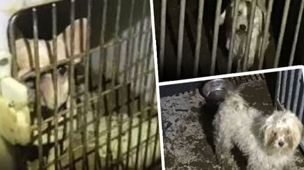 İngiltereyi şoke eden görüntüler: Cehennem çukuru