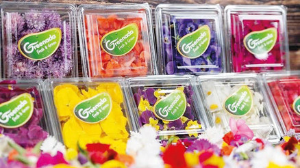 Yenilebilir çiçekler.. Mesut Türk yazdı