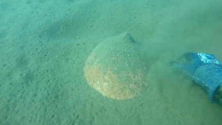 Zıpkınla balık avlarken buldu, Sahil Güvenlike haber verdi: Heyecan sardı