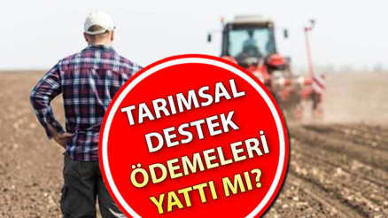 TARIMSAL DESTEK ÖDEME TARİHLERİ: Çiftçilere mazot ve gübre desteği hesaplara ne zaman yatacak