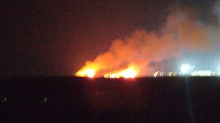 Milleyha Kuş Cennetinde yangın Kontrol altına alındı