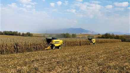 MAZOT GÜBRE DESTEĞİ ÖDEME TARİHİ: Çiftçi destek ödemesi ne zaman yatacak, ödendi mi Çiftçileri ilgilendiren ödemeler için Resmi Gazete detayı