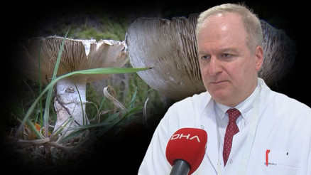 Bu yıl mantar zehirlenmeleri ağır gidiyor İlk 3 güne dikkat