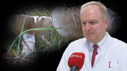 Mantar zehirlenmelerinde ilk 3 güne dikkat