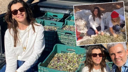 Kolları sıvadı bahçeye girdi Zeytinler Gökçeden…