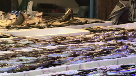 Kasımda hangi balıklar yenir İşte Kasım ayında lezzetli olan balıklar