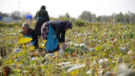 Kahraman kadınların ‘tatlı’ telaşı