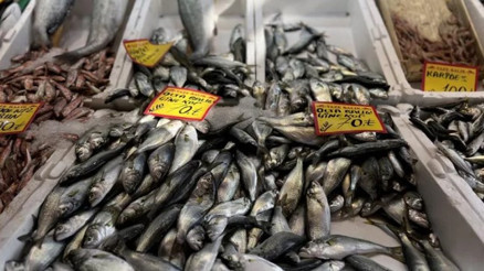 Tezgahlarda çinekop bollaştı, fiyatı yarı yarıya düştü