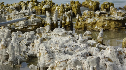 Van Gölünde sular çekilince mikrobiyalitler ortaya çıktı