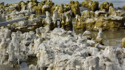 Van Gölünde sular çekildi, mikrobiyalitler ortaya çıktı