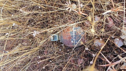Operasyonda ele geçirilen el bombası ve mayın imha edildi