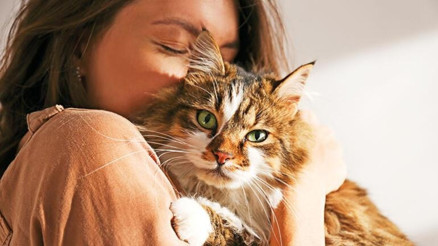Kuşlar, kediler, köpekler, balıklar depremi hisseder mi