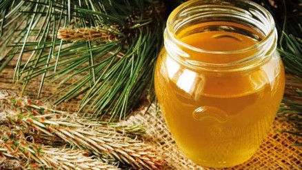 Çam balının da küresel iklim değişikliği vurdu