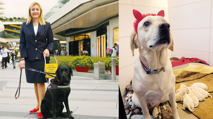 Rehber ‘Shiva’nın yavrularına özel parti