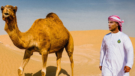 Cristiano Ronaldonun yeni takımı belli oluyor Akılalmaz teklife Evet dedi, tarihin en büyük imzası... Cristiano Ronaldonun yeni takımı belli oluyor Akılalmaz teklife Evet dedi, tarihin en büyük imzası...