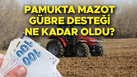 Pamuk ve ayçiçek mazot gübre desteği ne kadar oldu Cumhurbaşkanı Erdoğandan ayçiçek ve pamuk çiftçilerine müjde