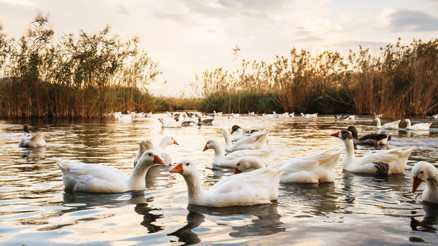 Muğla sorumluluk alacak turistleri bekliyor
