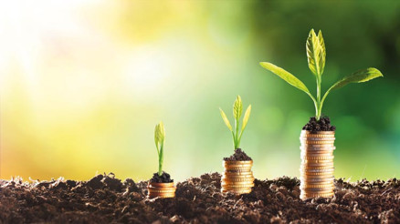 Ekonomik kalkınmaya yeşil dönüşüm desteği