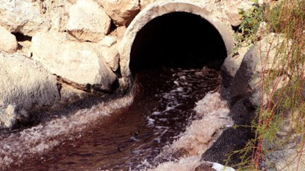 Nehre dökülen kimyasal atıklar, binlerce arı ve balığı öldürdü